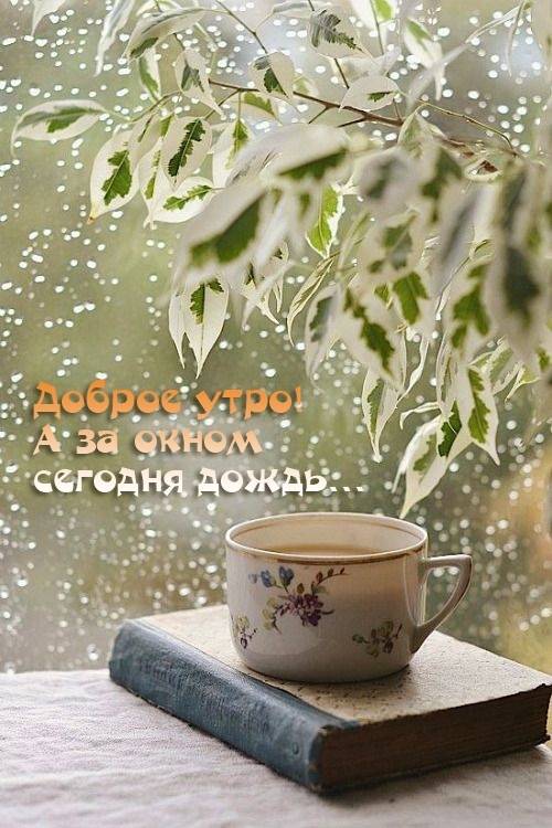 Доброе утро! А за окном сегодня дождь...