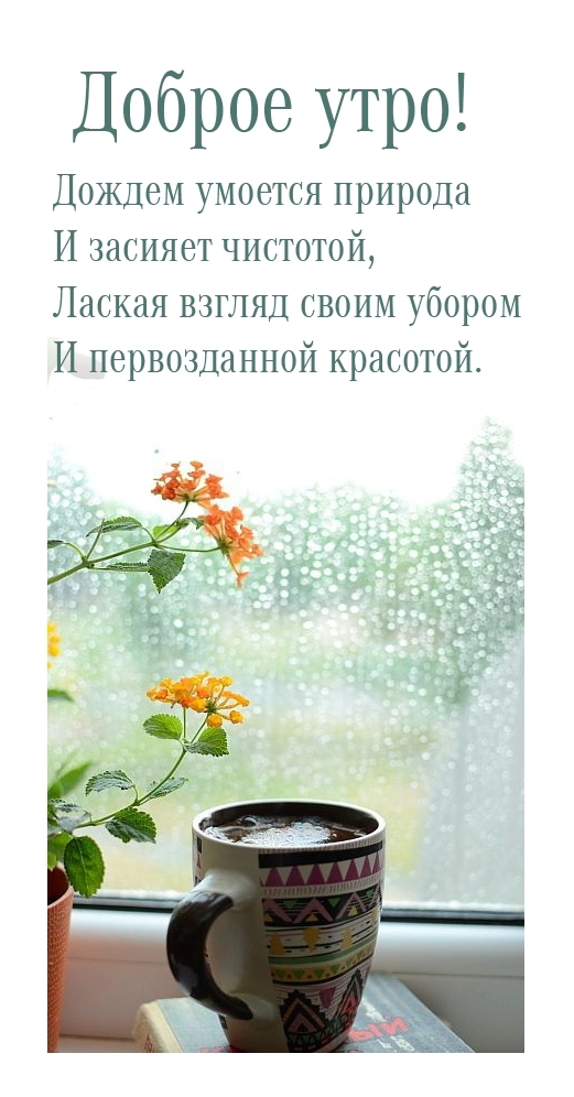 Доброе утро! Дождем умоется природа и засияет чистотой