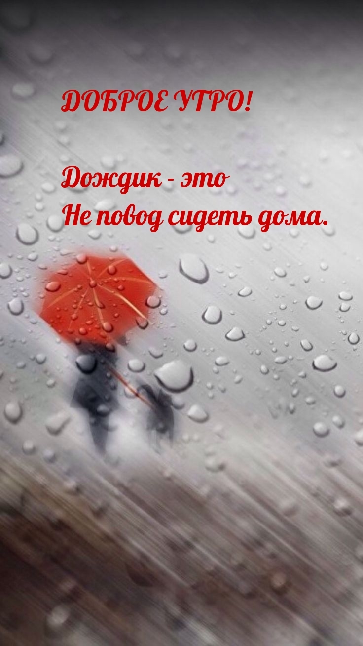 Доброе утро! Дождик - это не повод сидеть дома.