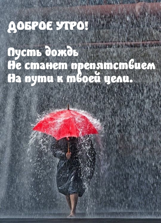 Доброе утро! Пусть дождь не станет препятствием