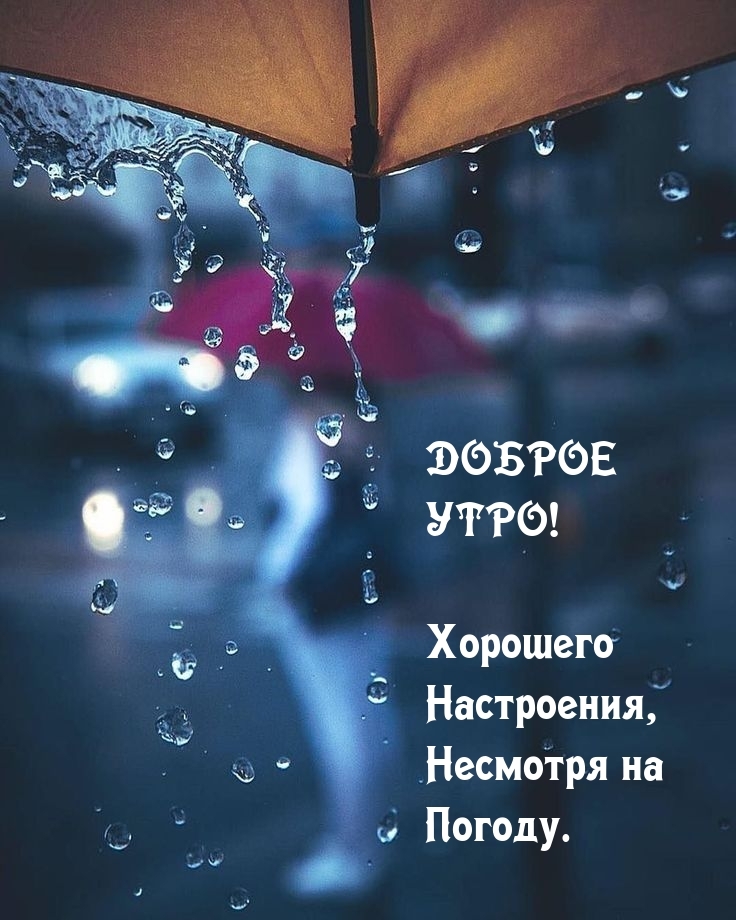 Доброе утро! Хорошего настроения, несмотря на погоду.