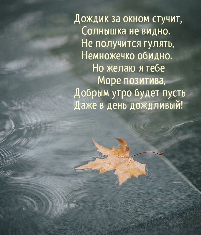 Дождик за окном стучит, солнышка не видно.