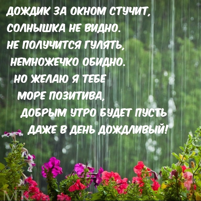 Дождик за окном стучит, солнышка не видно.