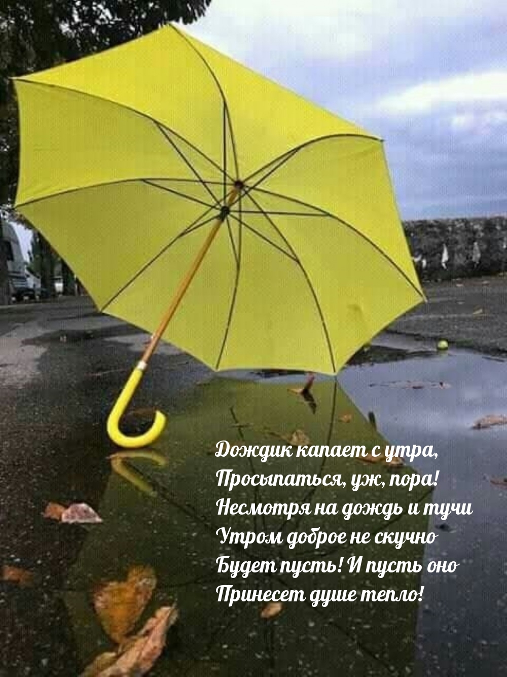Дождик капает с утра, просыпаться, уж, пора!