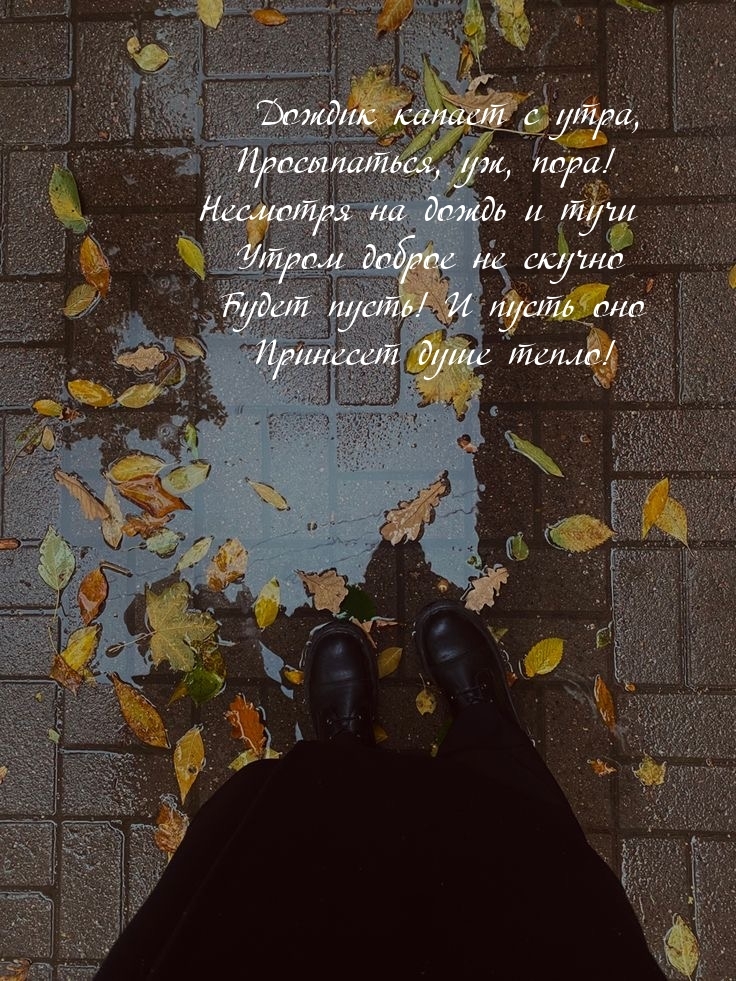 Дождик капает с утра, Просыпаться, уж, пора!