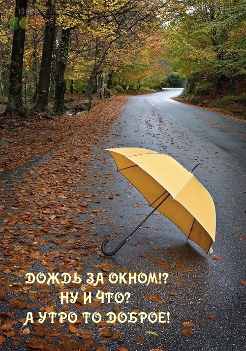 Дождь за окном!? Ну и что? А утро то доброе!