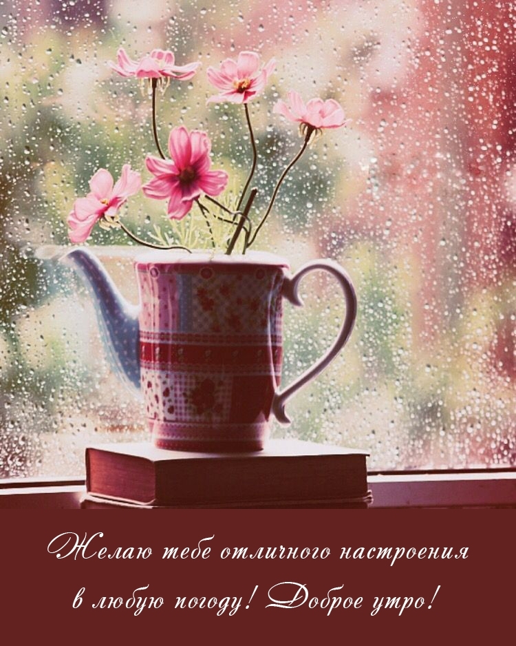 Желаю тебе отличного настроения в любую погоду! Доброе утро!