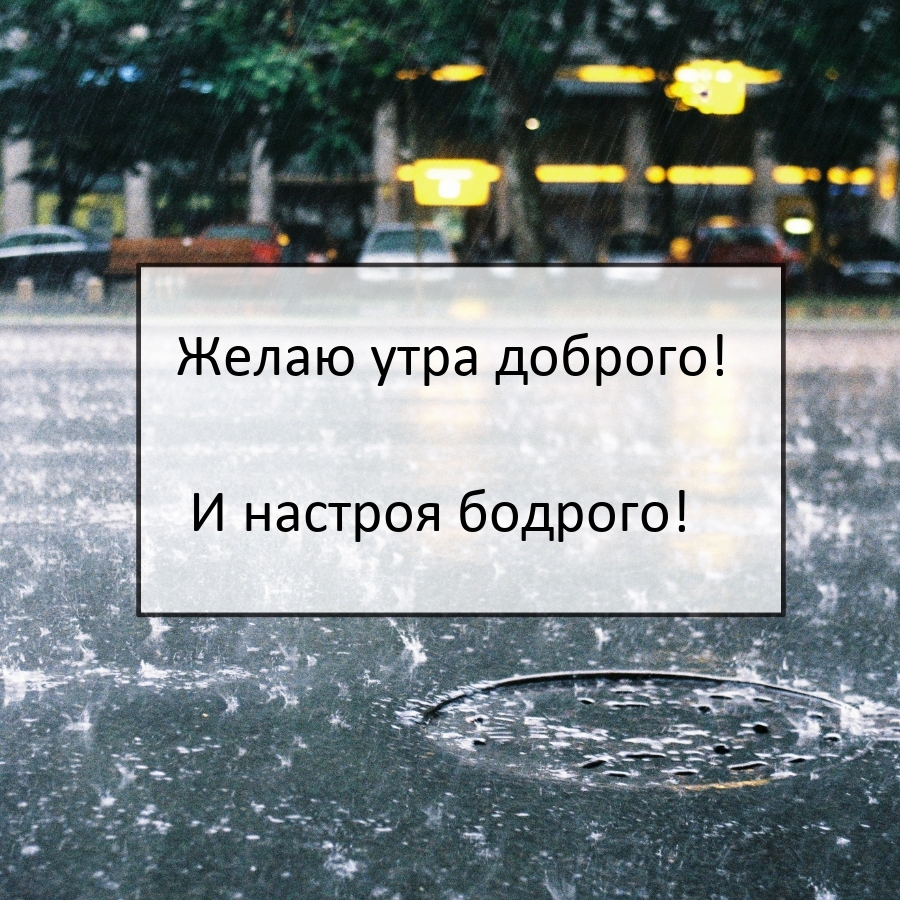 Желаю утра доброго! И настроя бодрого!