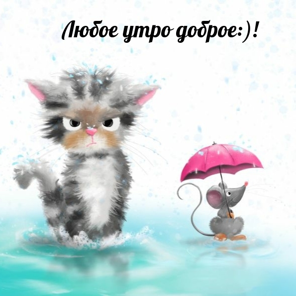 Любое утро доброе:)!