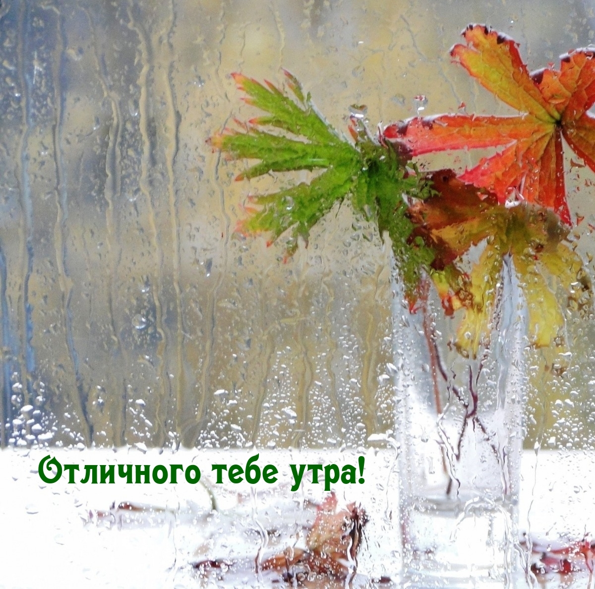 Отличного тебе утра!