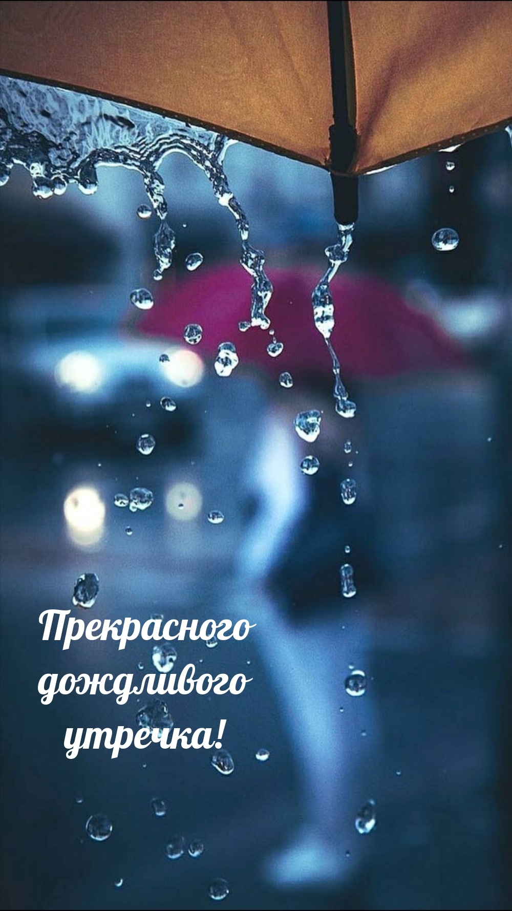 Прекрасного дождливого утречка!