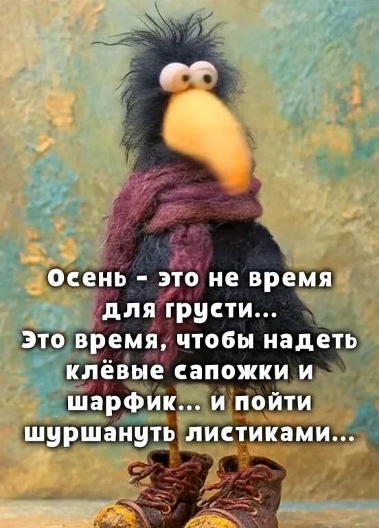 Открытка для настроения осенью. Прикольная ворона в шарфике и пожелание.