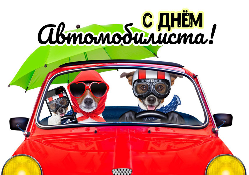 Открытка с Днем автомобилиста. Две собачки в автомобиле.