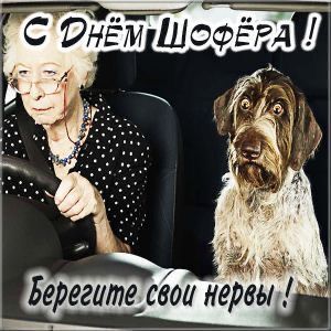 Открытка с Днем автомобилиста. Пожилая женщина за рулем и собака.