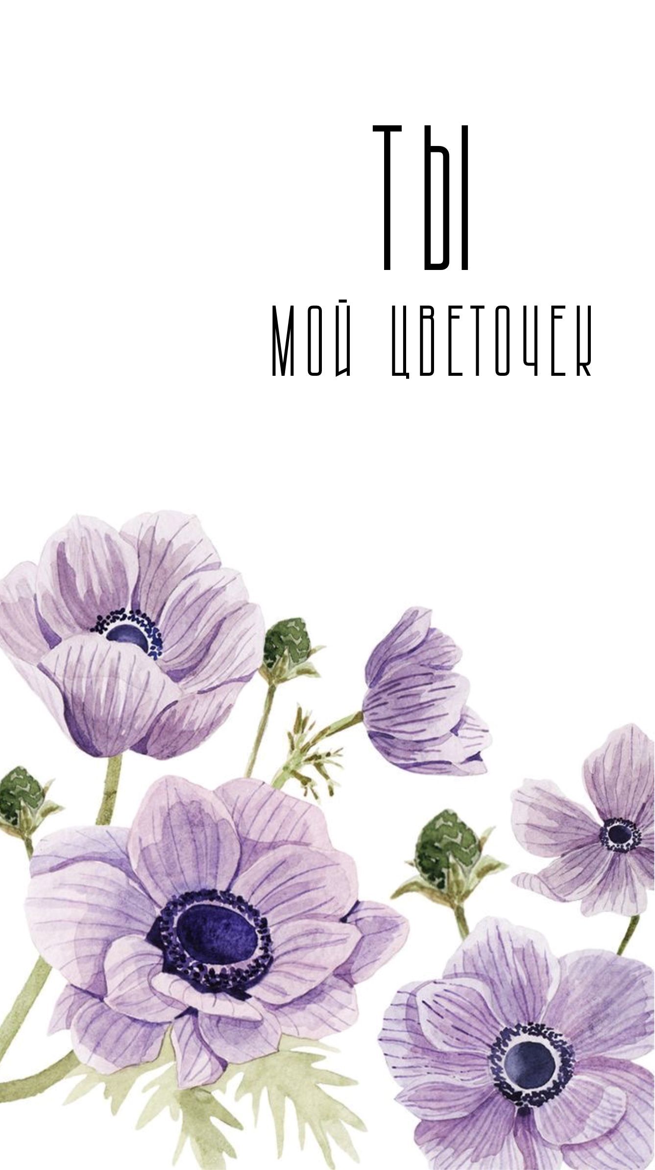 С днем рождения женщине. Ты мой цветочек. Сиреневые цветы.