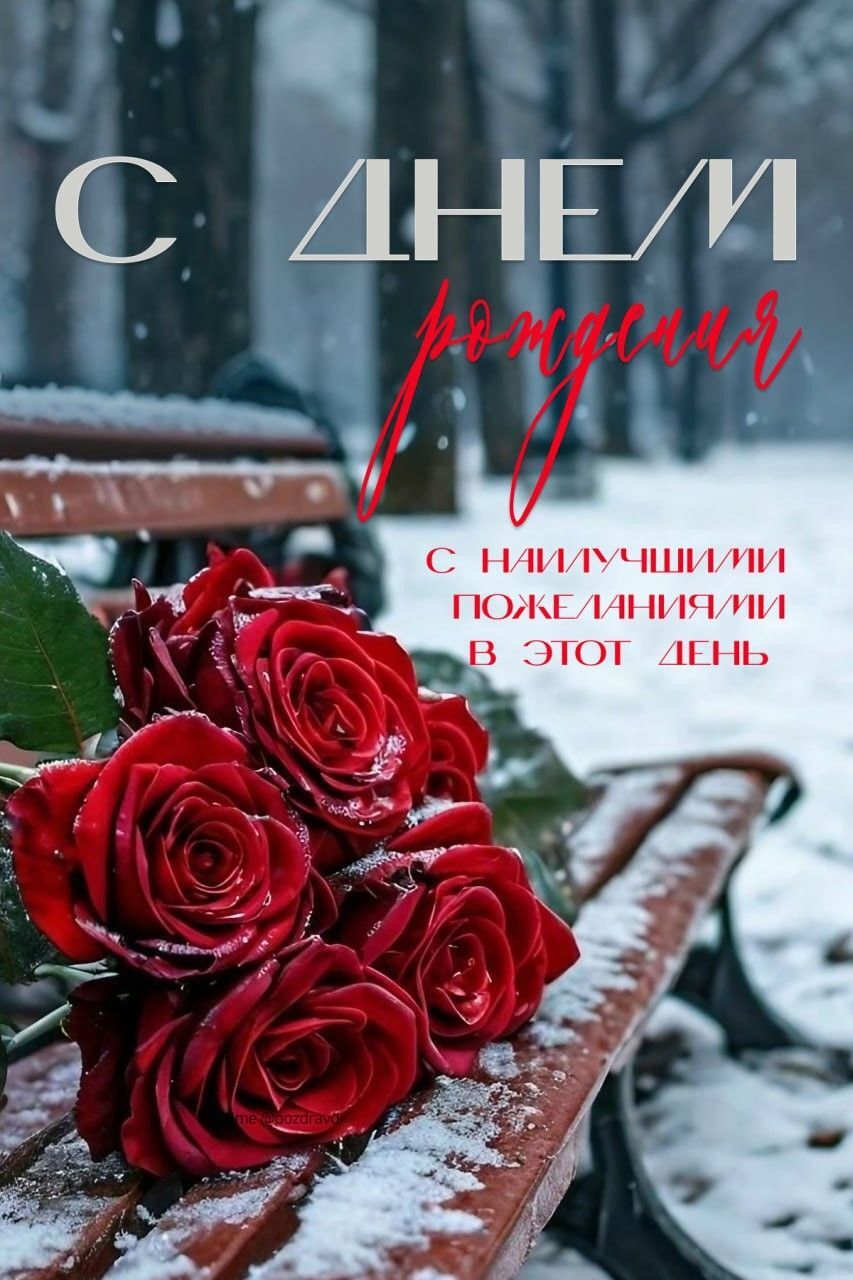 С днем рождения. Розы, снег, скамейка в парке. С днем рождения. Розы, снег, скамейка в парке.