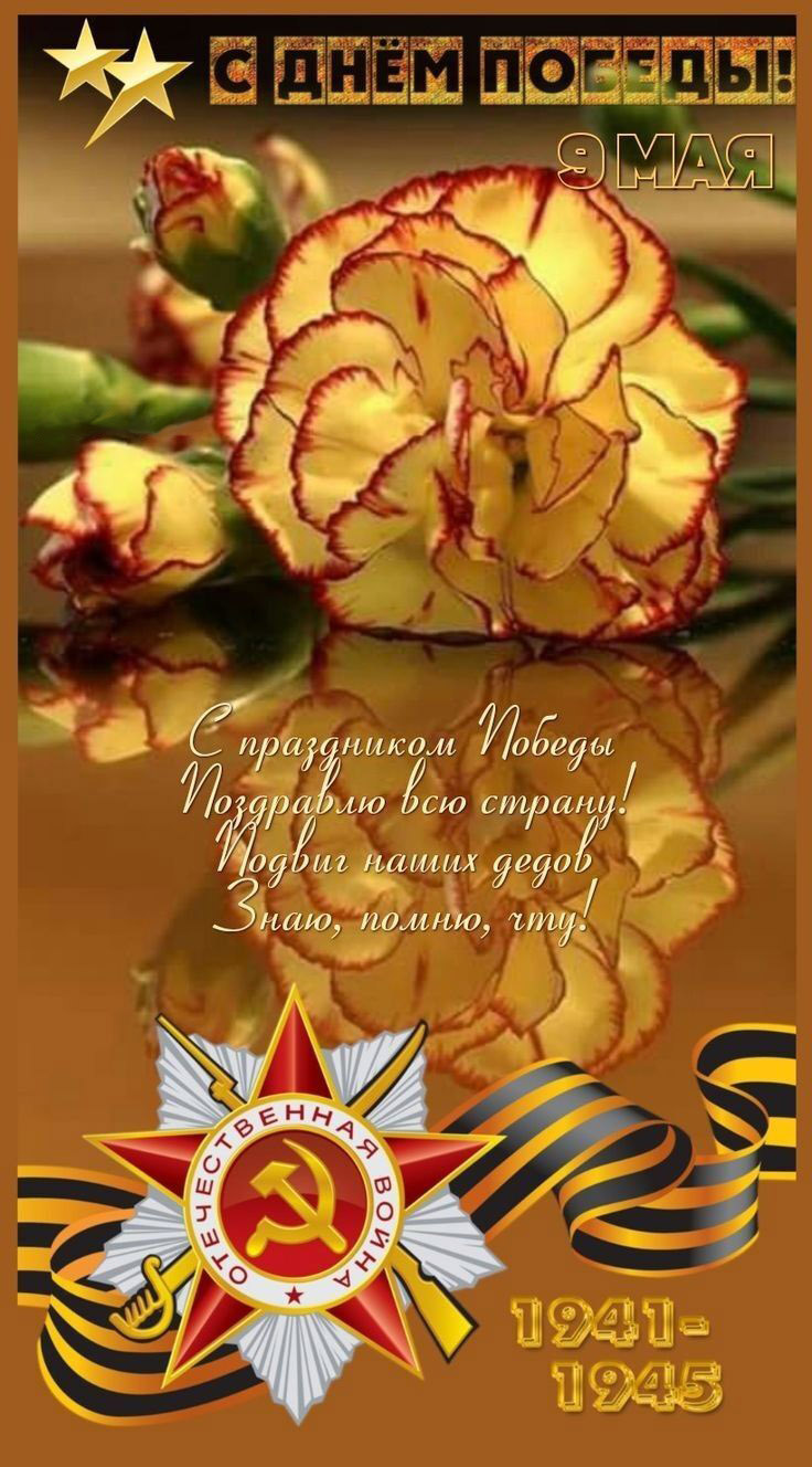 С днем Победы 9 мая. Цветы, пожелание.
