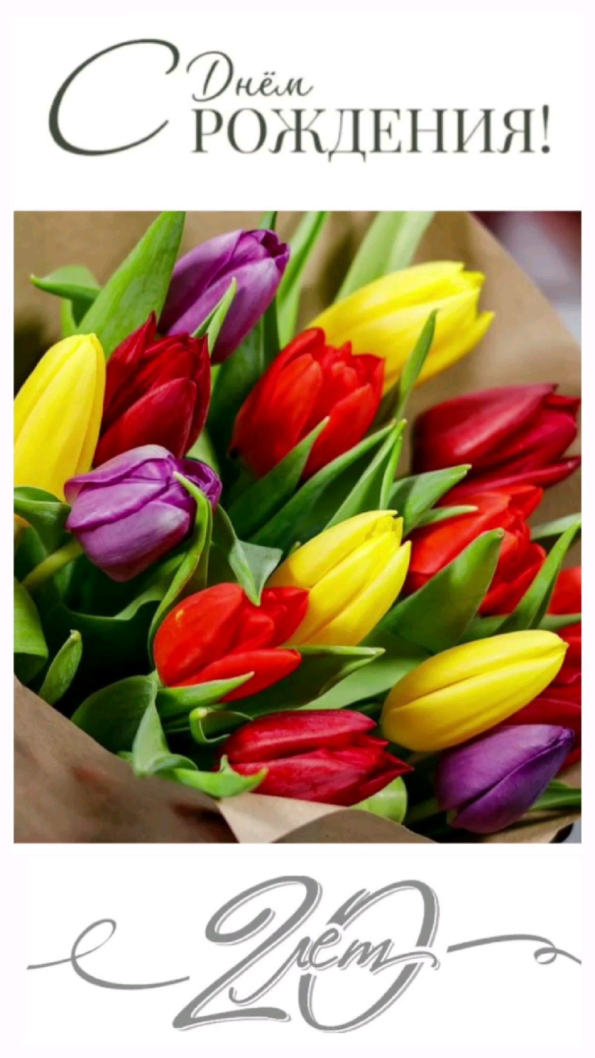 С днем рождения 20 лет юбилей. Разноцветные тюльпаны.