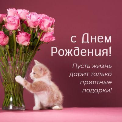 Открытка с днем рождения женщина. Котик и розы. Пожелание. Открытка с днем рождения женщина. Котик и розы. Пожелание.