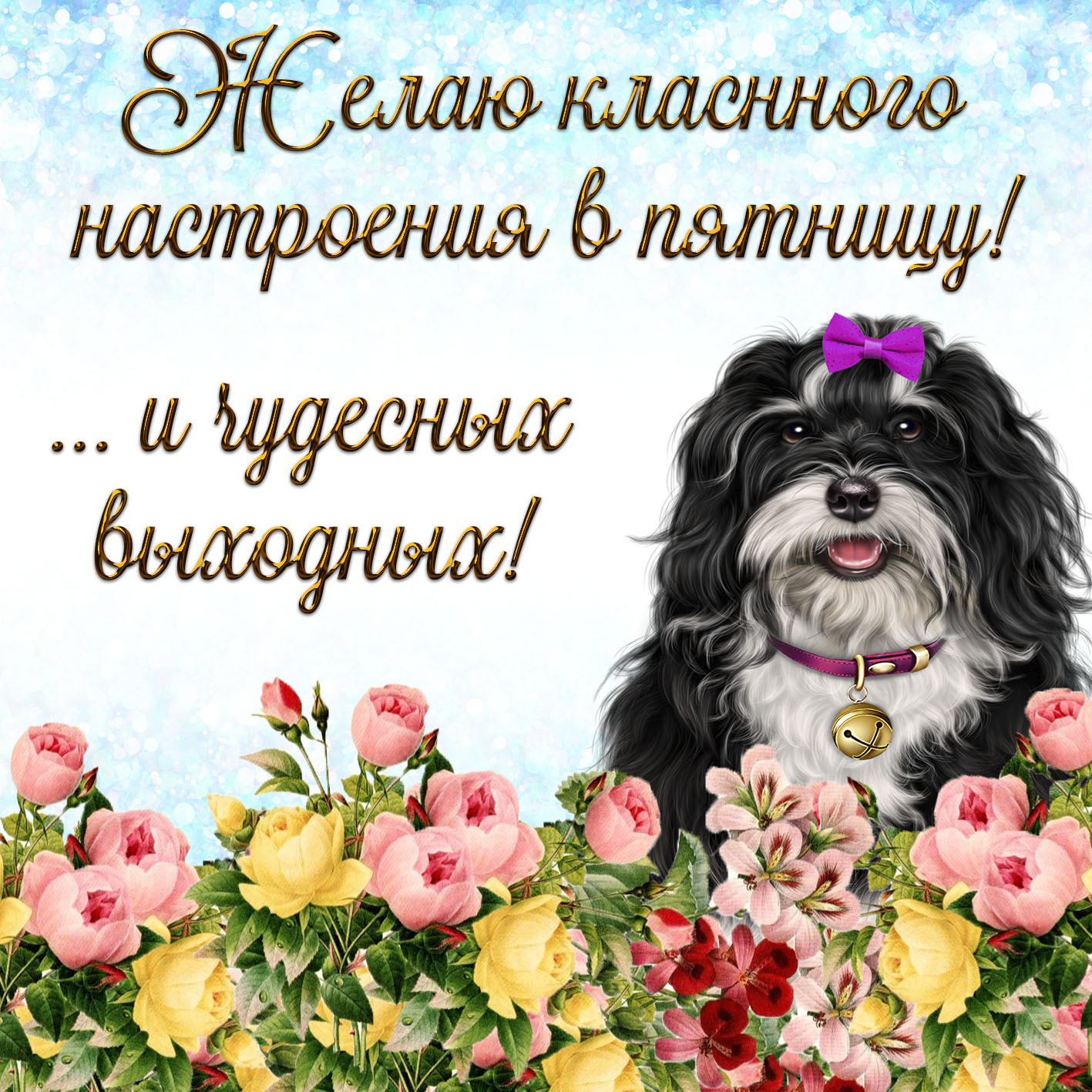 Открытка на пятницу. Открытка на пятницу - смешная собачка желает классного настроения. Открытка на пятницу. Открытка на пятницу - смешная собачка желает классного настроения.