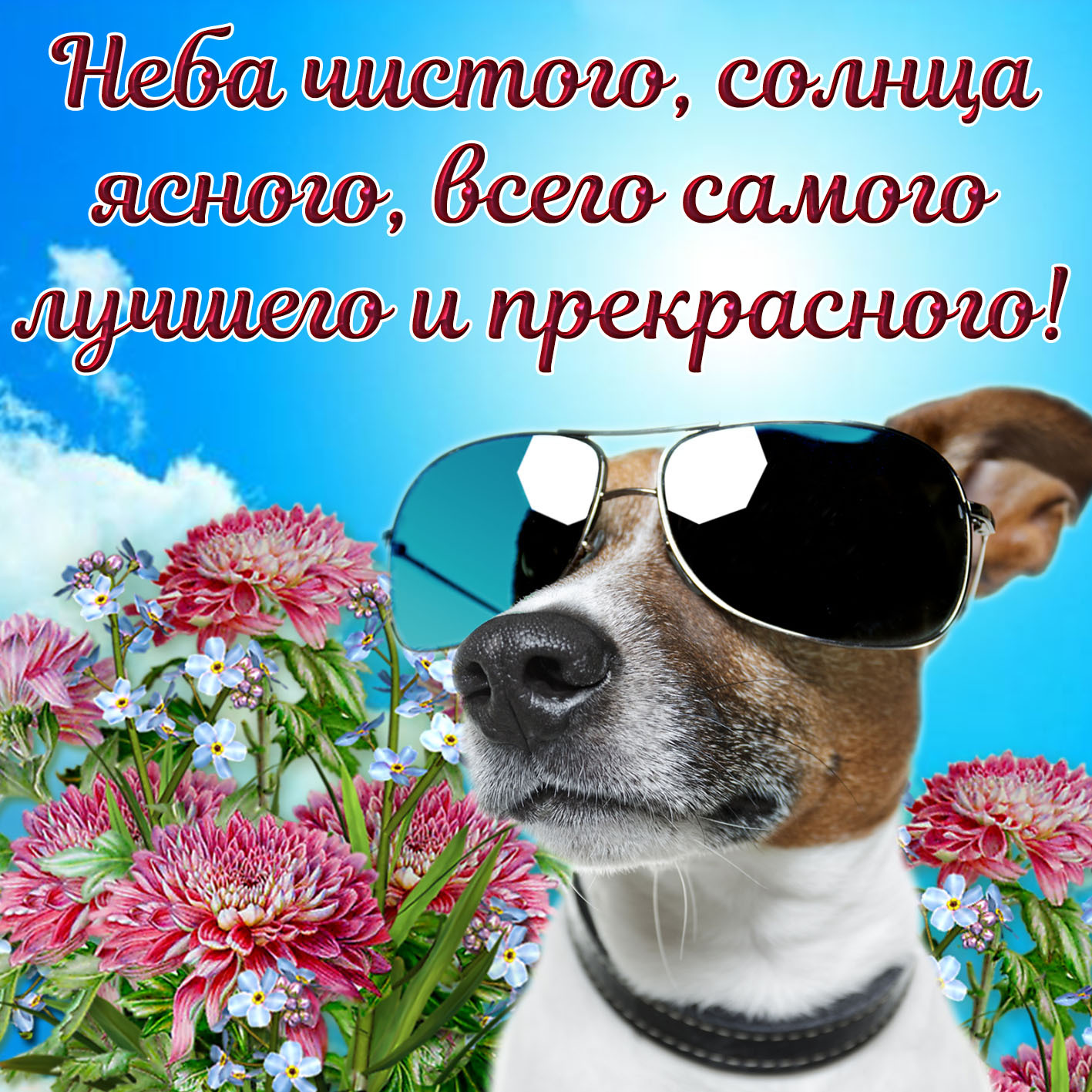 Открытка с добрым утром. Картинка с милым пожеланием и собачкой в очках. Открытка с добрым утром. Картинка с милым пожеланием и собачкой в очках.