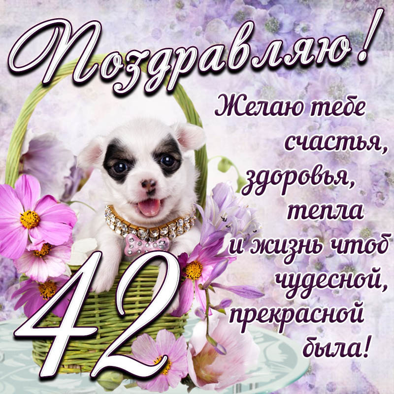 Открытка с днем рождения женщина. Картинка с собакой в корзинке и пожеланием на 42 года.