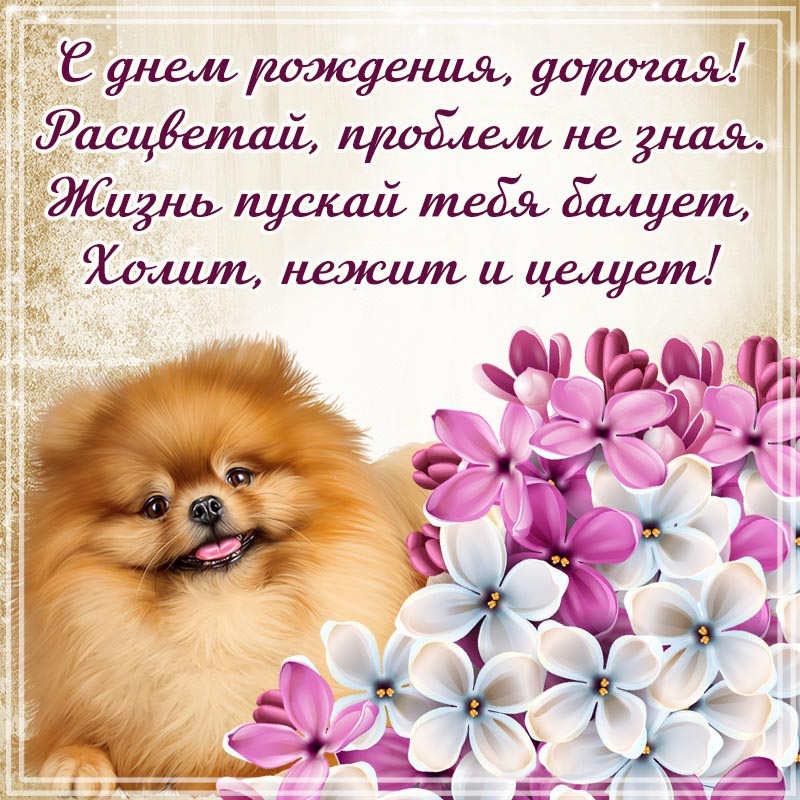 Открытка с днем рождения дочь. Замечательная картинка с собачкой для девушки на день рождения.