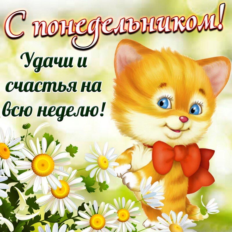 Открытка на понедельник. Открытка с котенком поздравляющим всех с понедельником. Открытка на понедельник. Открытка с котенком поздравляющим всех с понедельником.