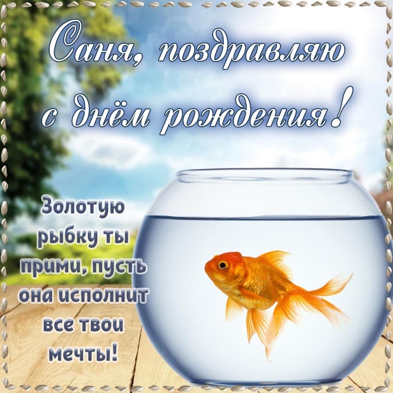 Открытка с днем рождения Александр Саша. Славная картинка с золотой рыбкой Сане на день рождения. Открытка с днем рождения Александр Саша. Славная картинка с золотой рыбкой Сане на день рождения.