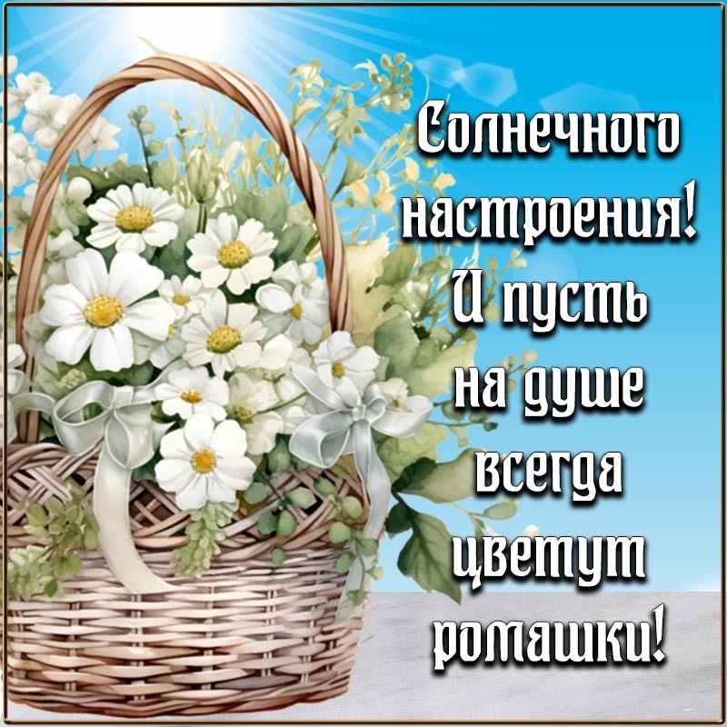 Открытка с добрым утром. Открытка - цветы в корзине и пожелание солнечного настроения. Открытка с добрым утром. Открытка - цветы в корзине и пожелание солнечного настроения.