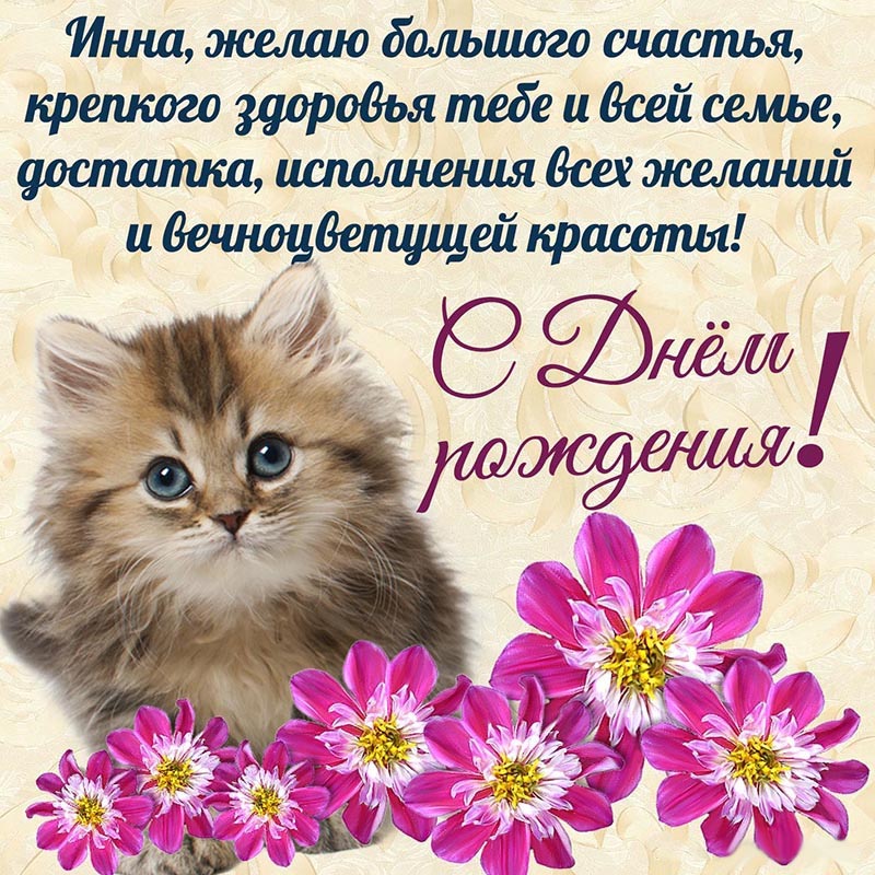 Открытка с днем рождения Инна. Красивая картинка с котенком на День рождения Инне.