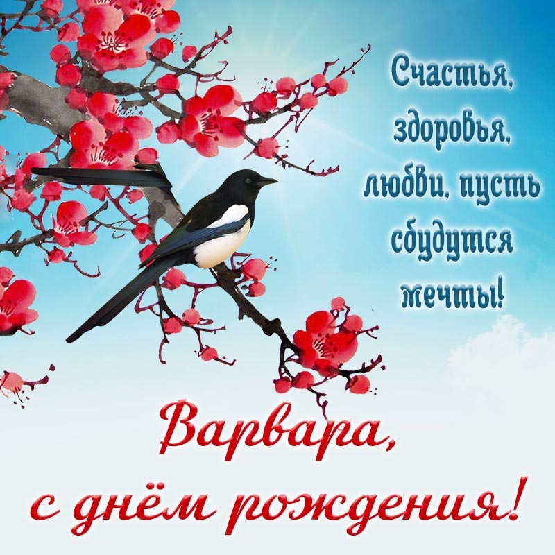 Открытка с днем рождения Варвара. Открытка на день рождения - птица на ветке и пожелание Варваре здоровья и любви.