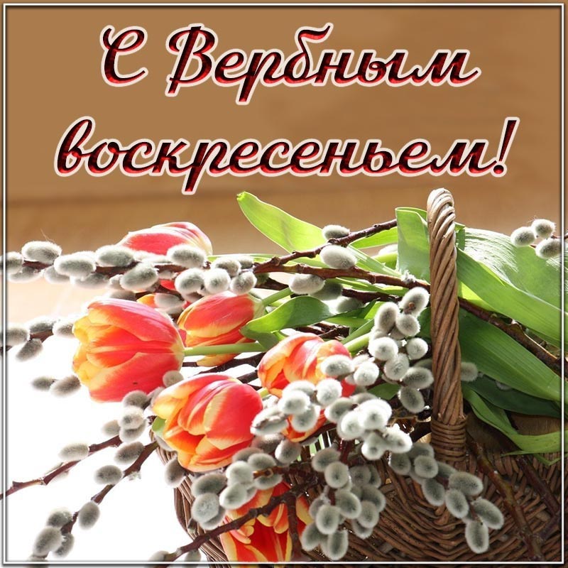 Открытка с Вербным Воскресеньем. Верба и тюльпаны.