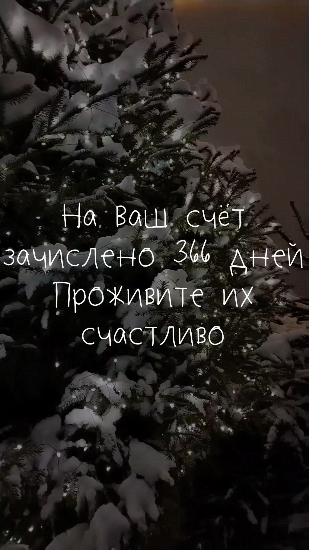 Открытка с Новым високосным годом. На Ваш счет зачислено 366 дней. Проживите их счастливо. Зимняя елочка в снегу.