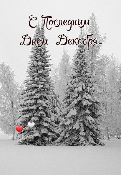 Открытка на Зиму. С последним днем Декабря. Заснеженные ели, сердечки.