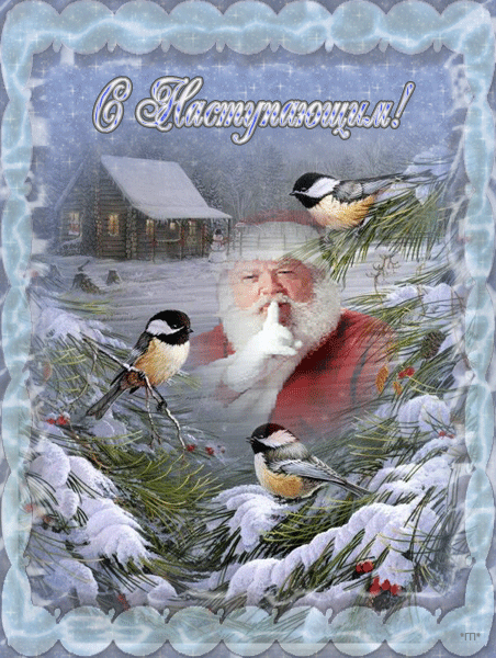 Открытка с Новым годом gif анимационная. С наступающим. Дед Мороз и синички.