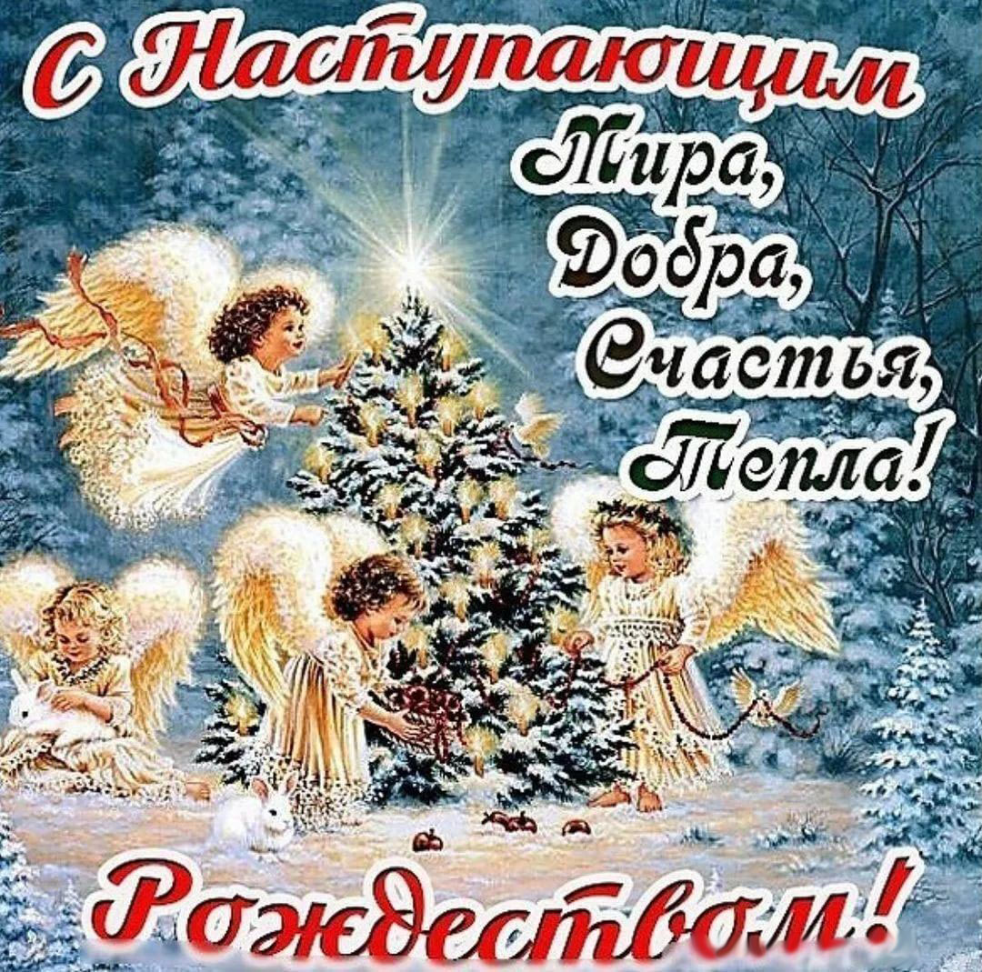 Открытка с наступающим Рождеством Христовым. Ангелочки и зимние елочки.