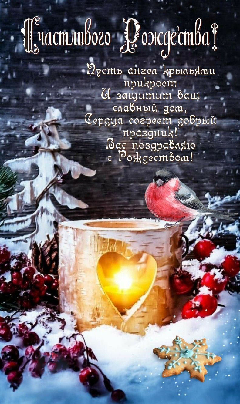 Открытка с Рождеством Христовым. Пожелания. Елочка, снегирь.