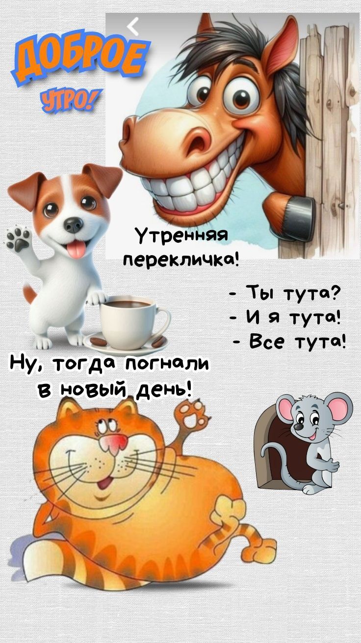 Открытка с добрым утром прикольная. Пожелания и зверюшки.