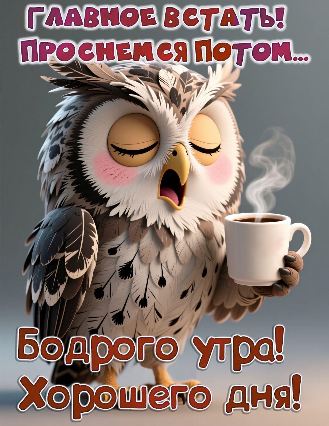 Открытка с добрым утром прикольная. Сова с кофе, пожелания бодрого утра и хорошего дня.