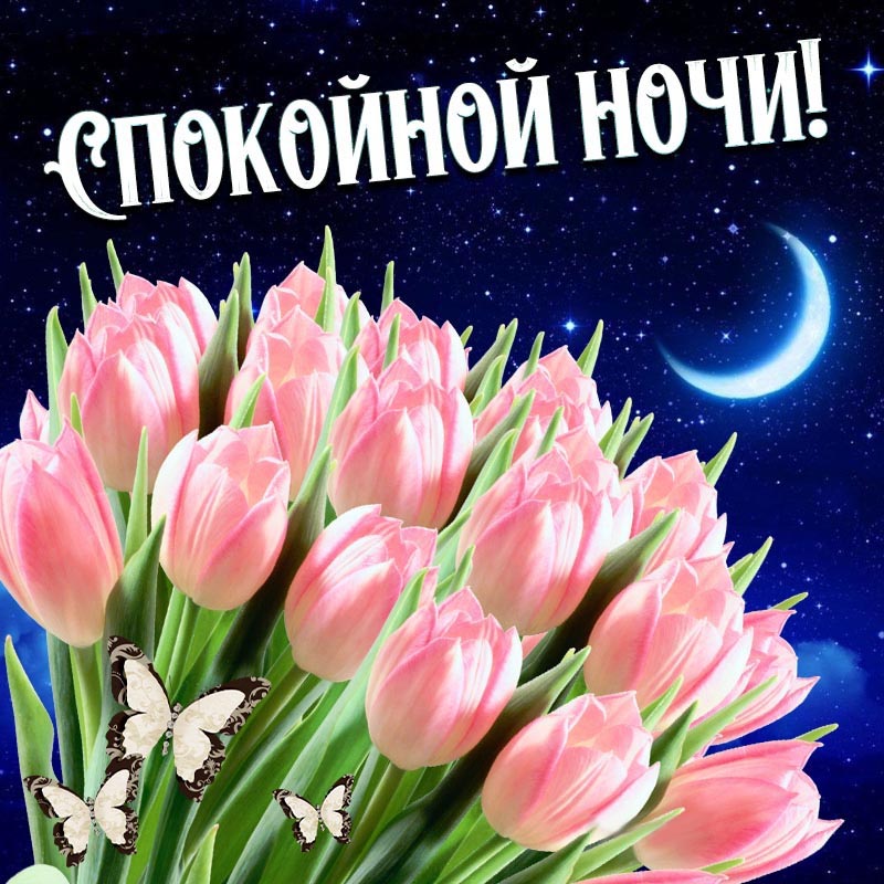 Открытка спокойной ночи. Розовые тюльпаны и бабочки.