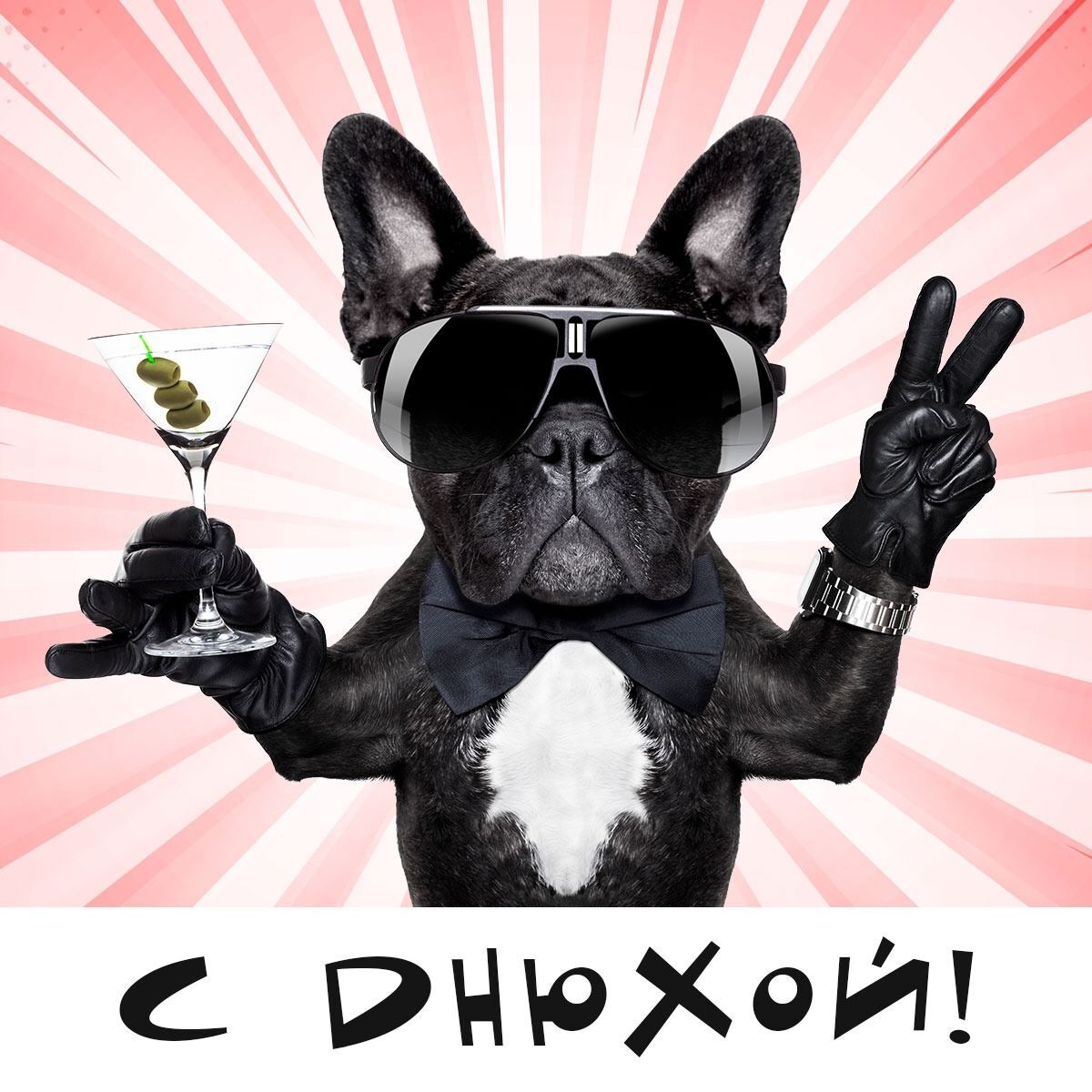 Открытка с днем рождения. Собачка с бокалом. С днюхой!