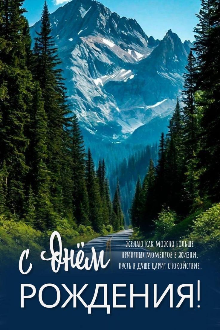Открытка с днем рождения мужчина. Лес, годы и пожелания.