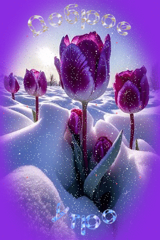 Открытка с добрым зимним утром. Тюльпаны и снег идет.