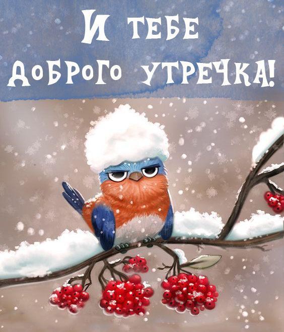 Открытка с добрым зимним утром. И тебе доброго утречка! Снегирь, снег, рябина, рисунок.