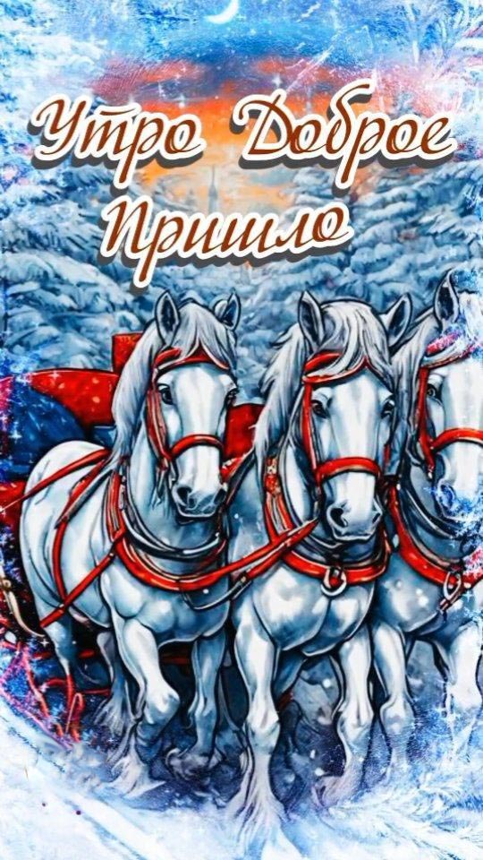 Открытка с добрым зимним утром. Утро доброе пришло. Тройка белых лошадей в зимнем лесу.
