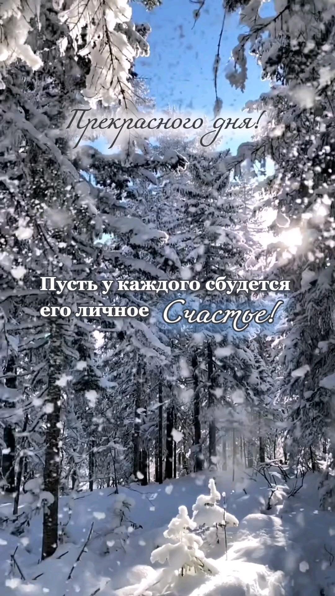 Открытка хорошего зимнего дня и настроения. Зимний лес и пожелания.