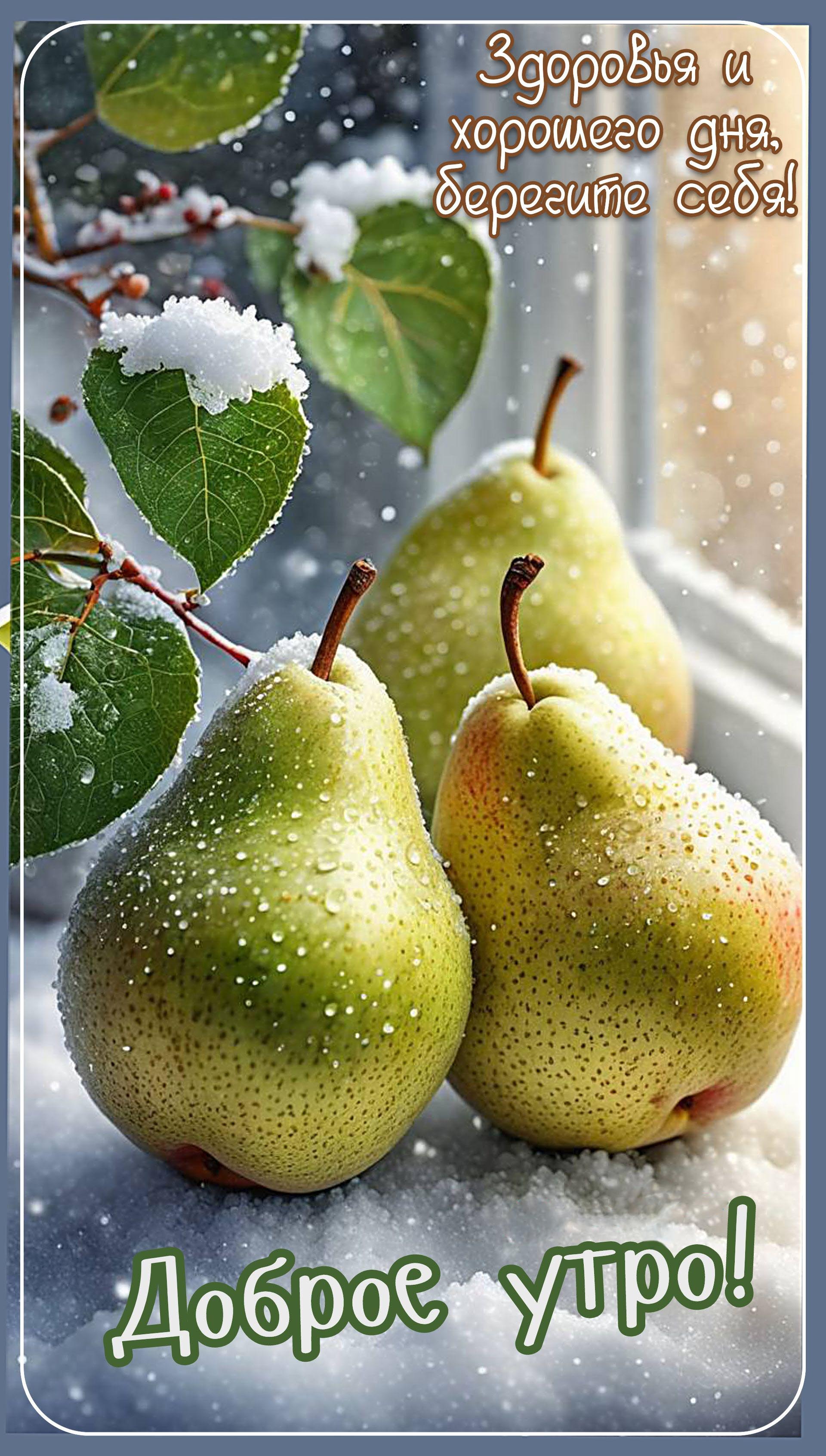 Открытка с добрым зимним утром. Груши в снегу.