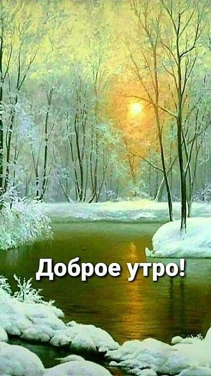 Открытка с добрым зимним утром. Заснеженный лес и река.