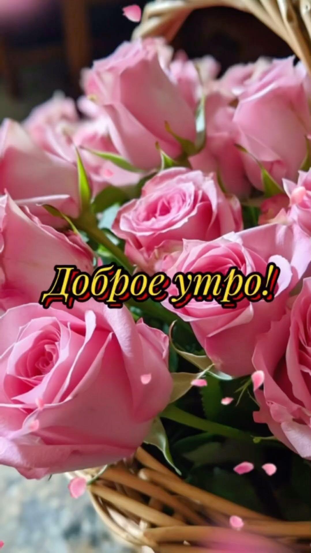 Открытка с добрым утром. Розовые розы.